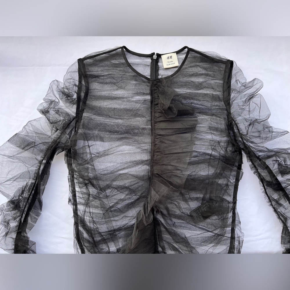 H&M Black Sheer Ruffle Blouse - Picture 9 of 16